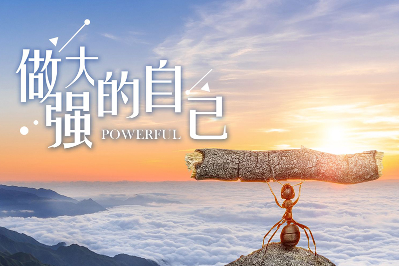 威固、龙膜、3M哪个更强大？
